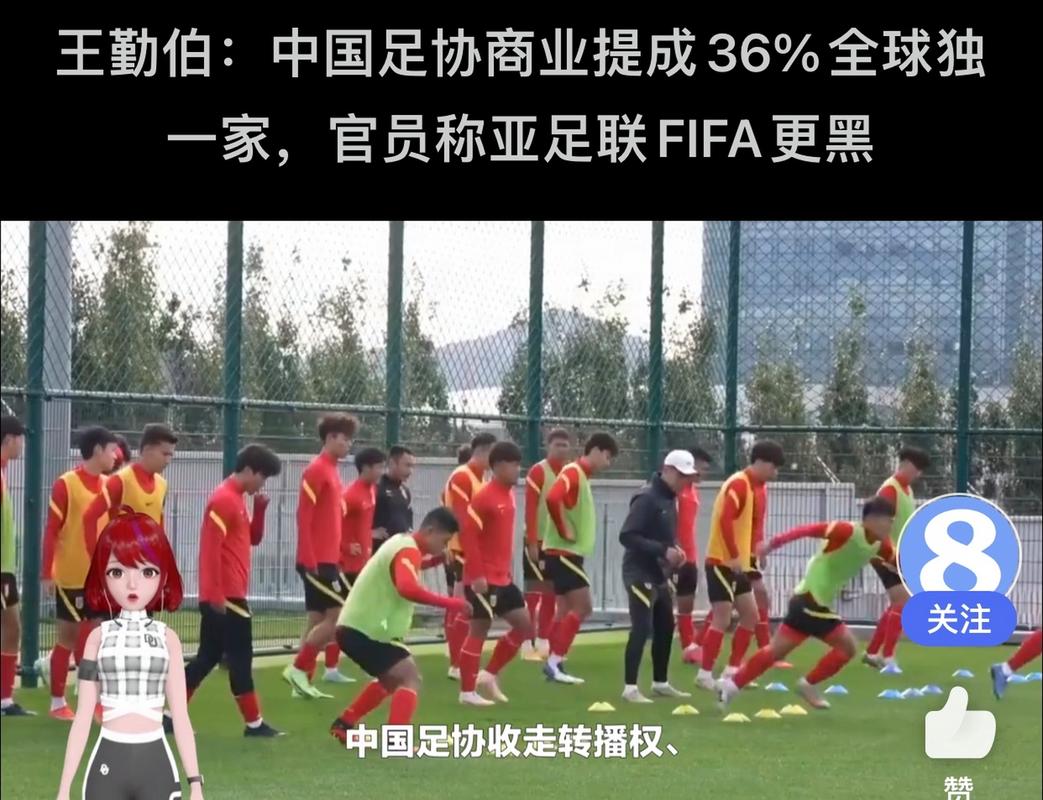 曝中国足协商业提成达36%的相关图片
